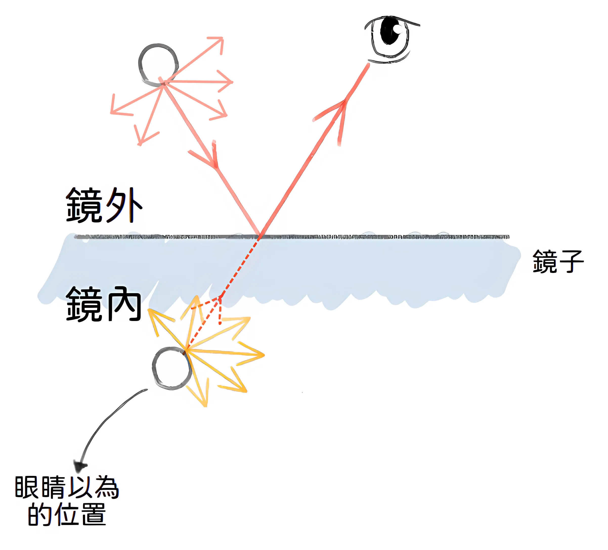 眼睛看到鏡子內的東西