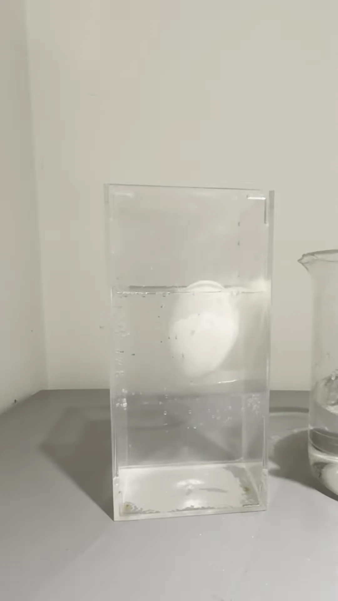 cover of next post