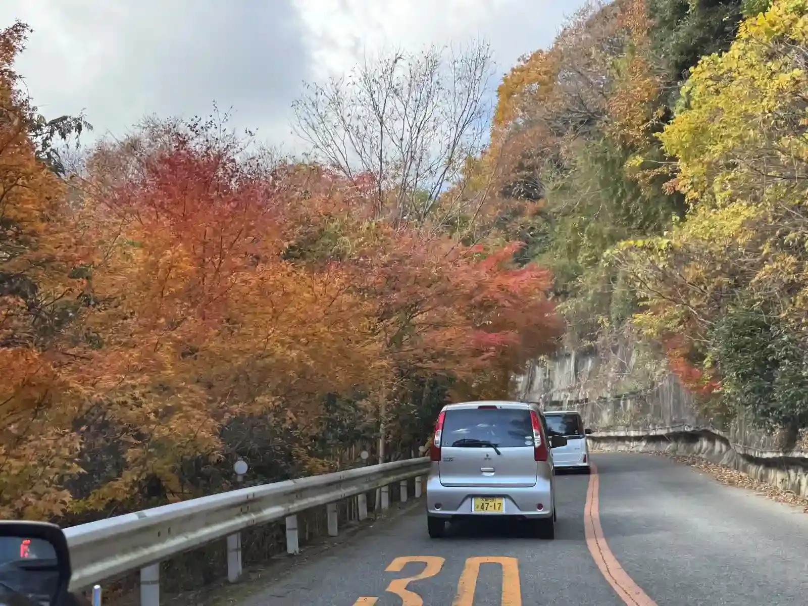 前往勝尾寺途中滿是楓葉的山路