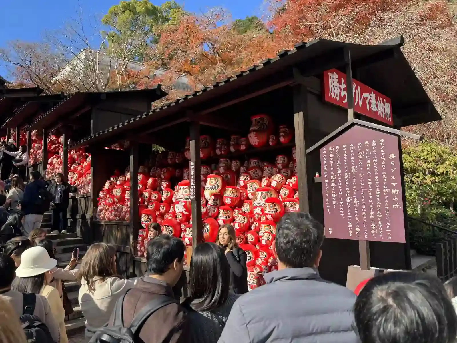 勝尾寺的勝運達摩奉納棚