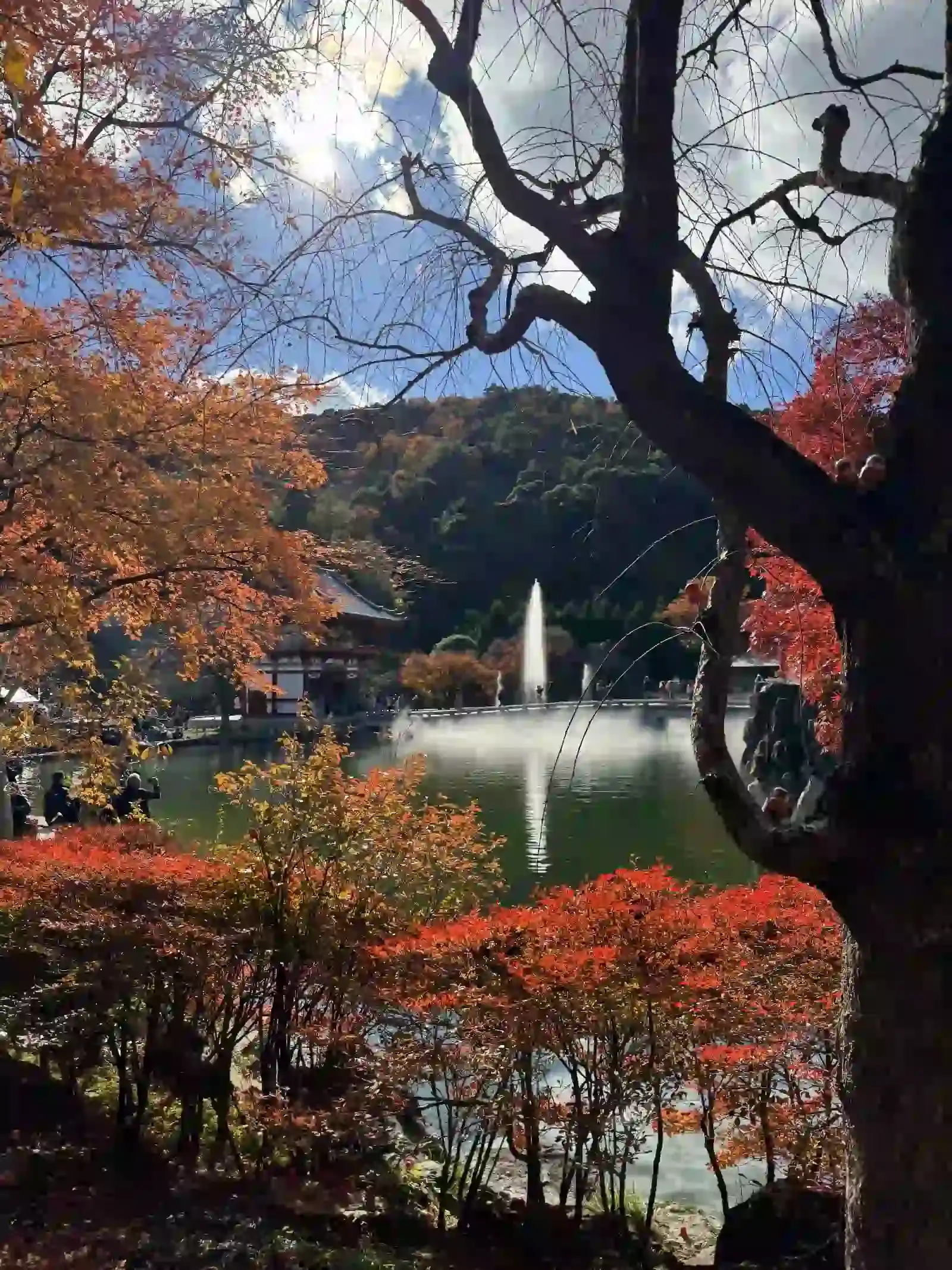 楓葉與弁天池噴泉