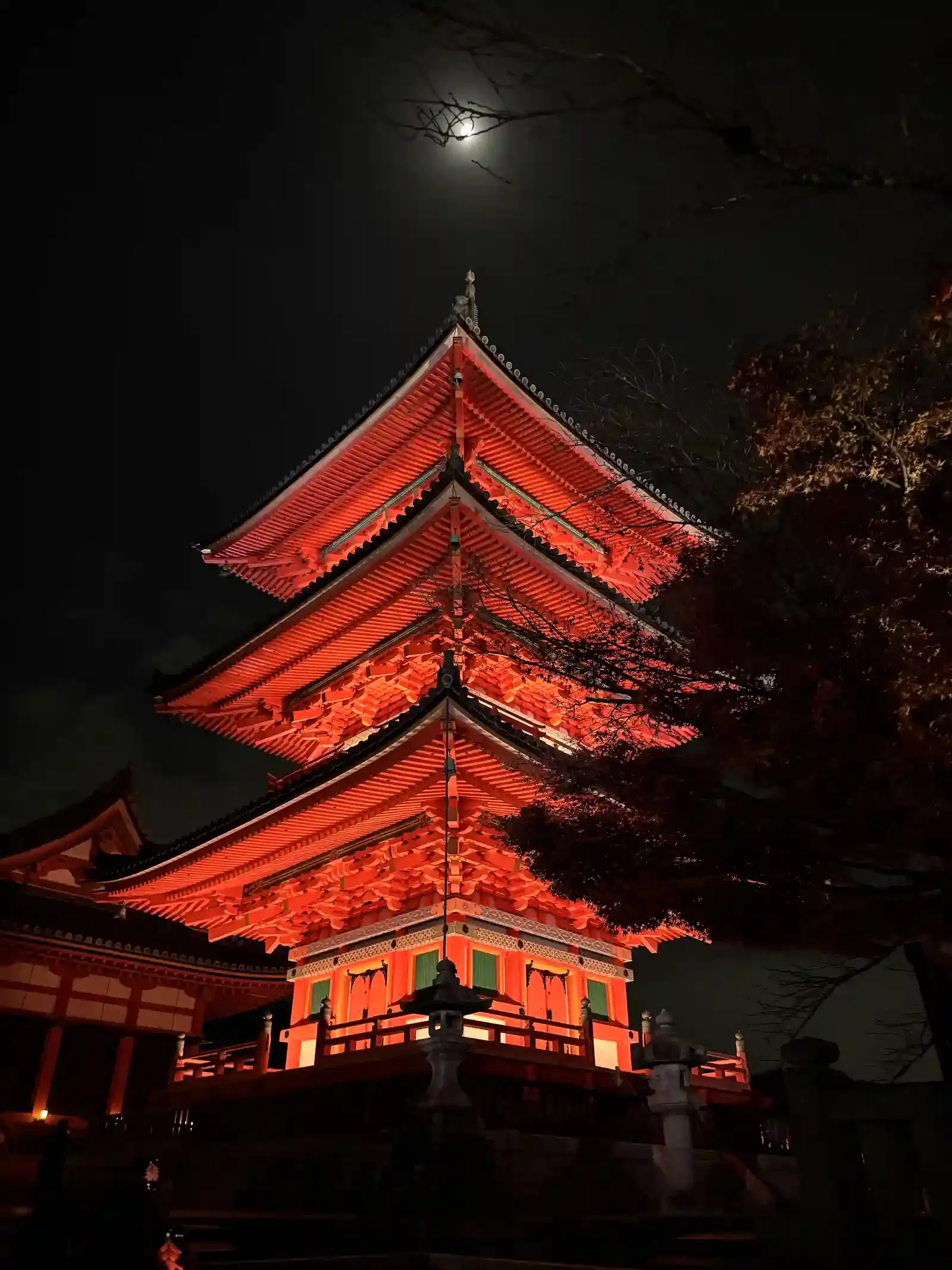 夜間點燈的清水寺三重塔