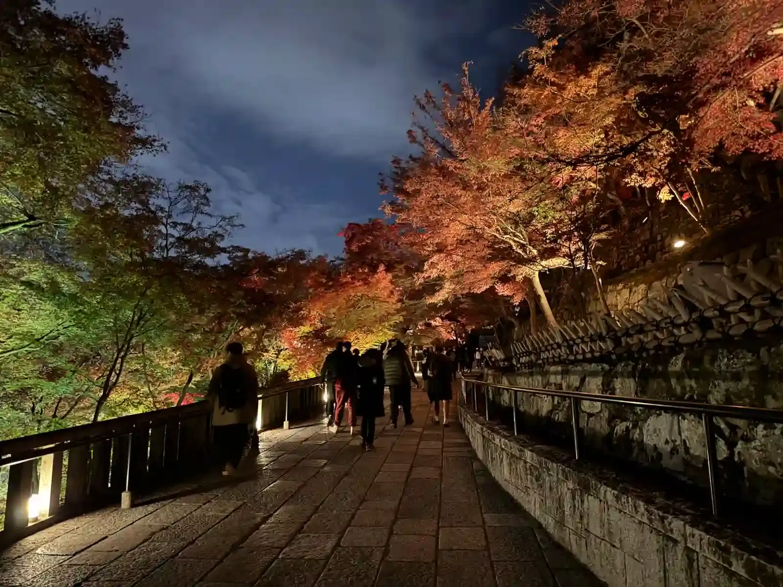 清水寺夜間參拜的楓葉步道