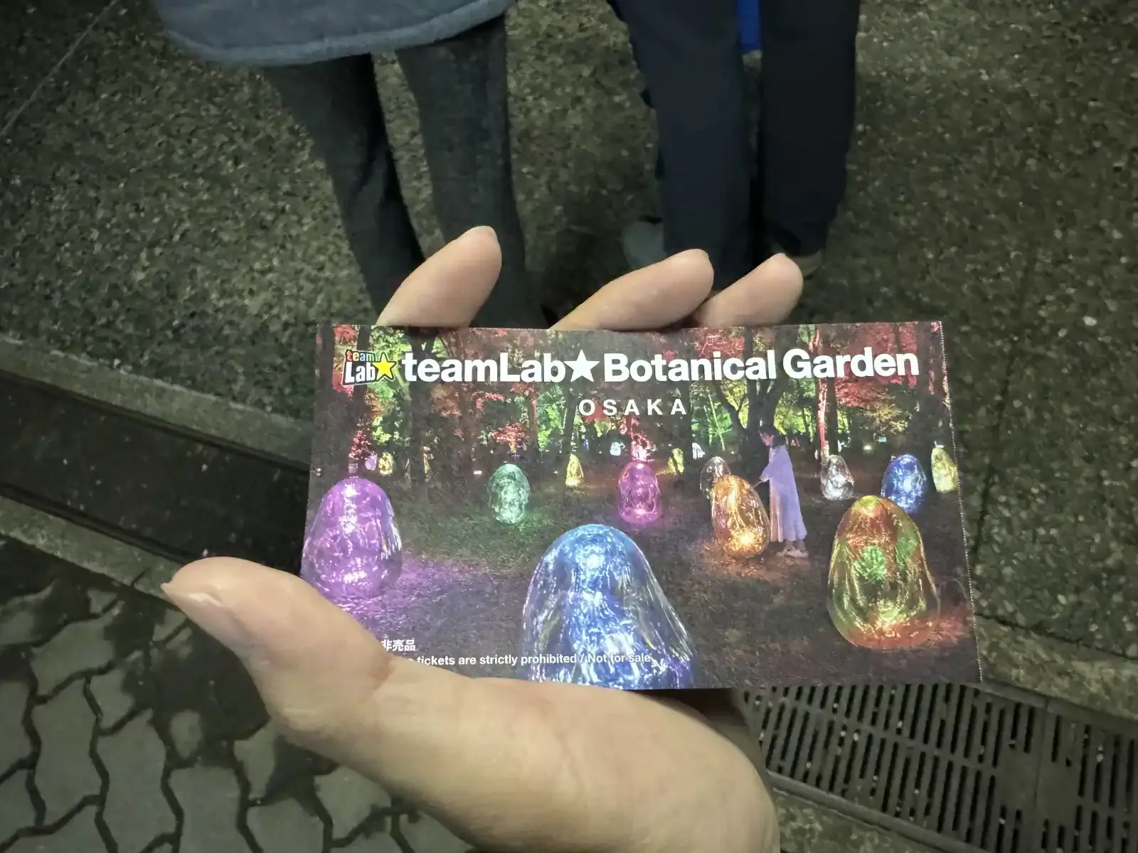 大阪 teamLab Botanical Garden 門票