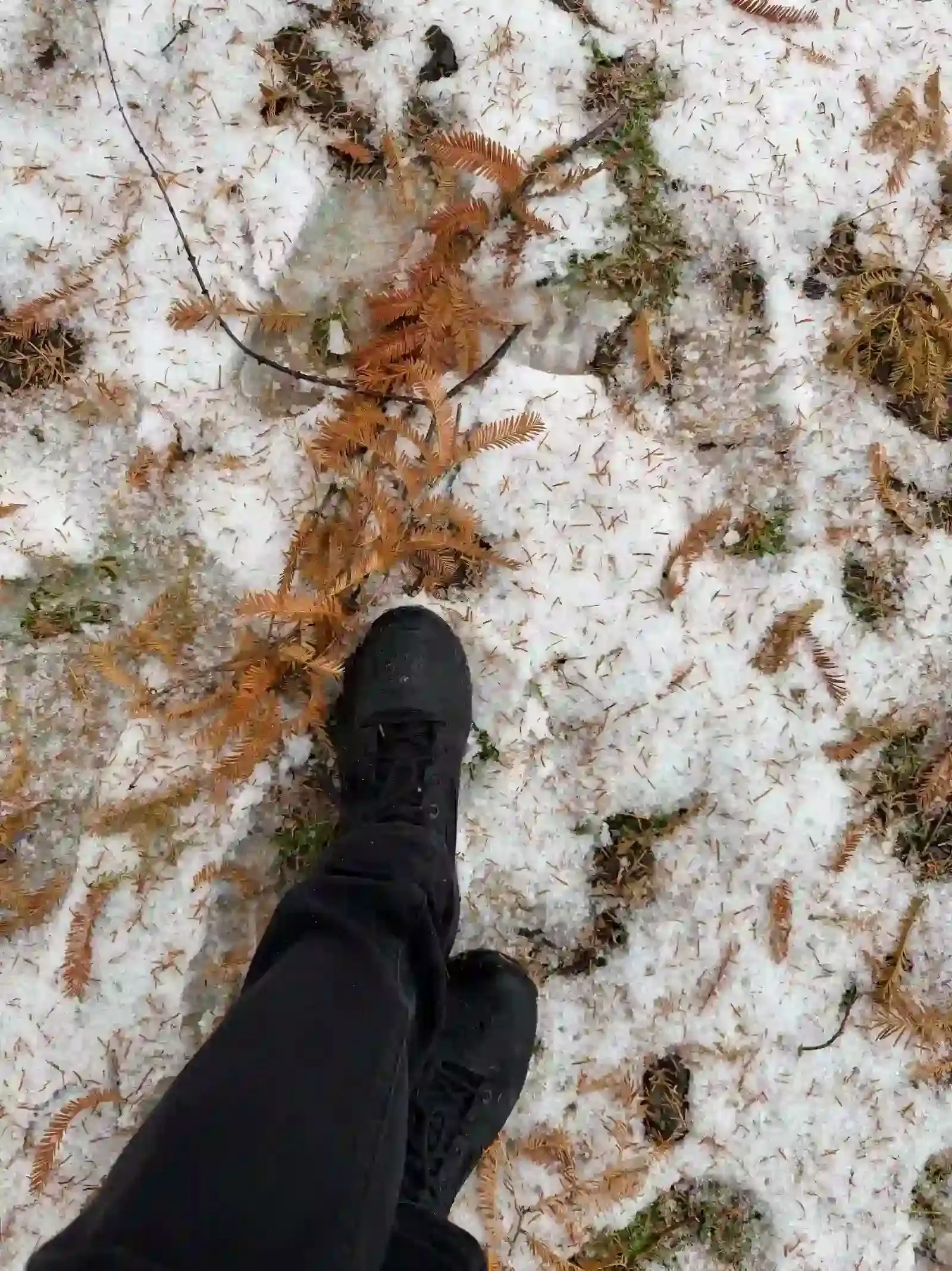 踩在雪上