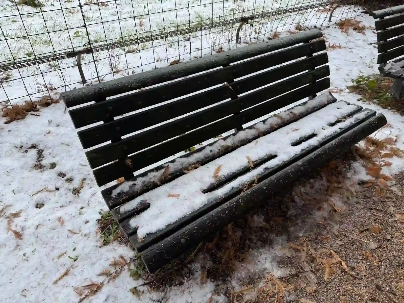 覆上一層薄雪的長椅