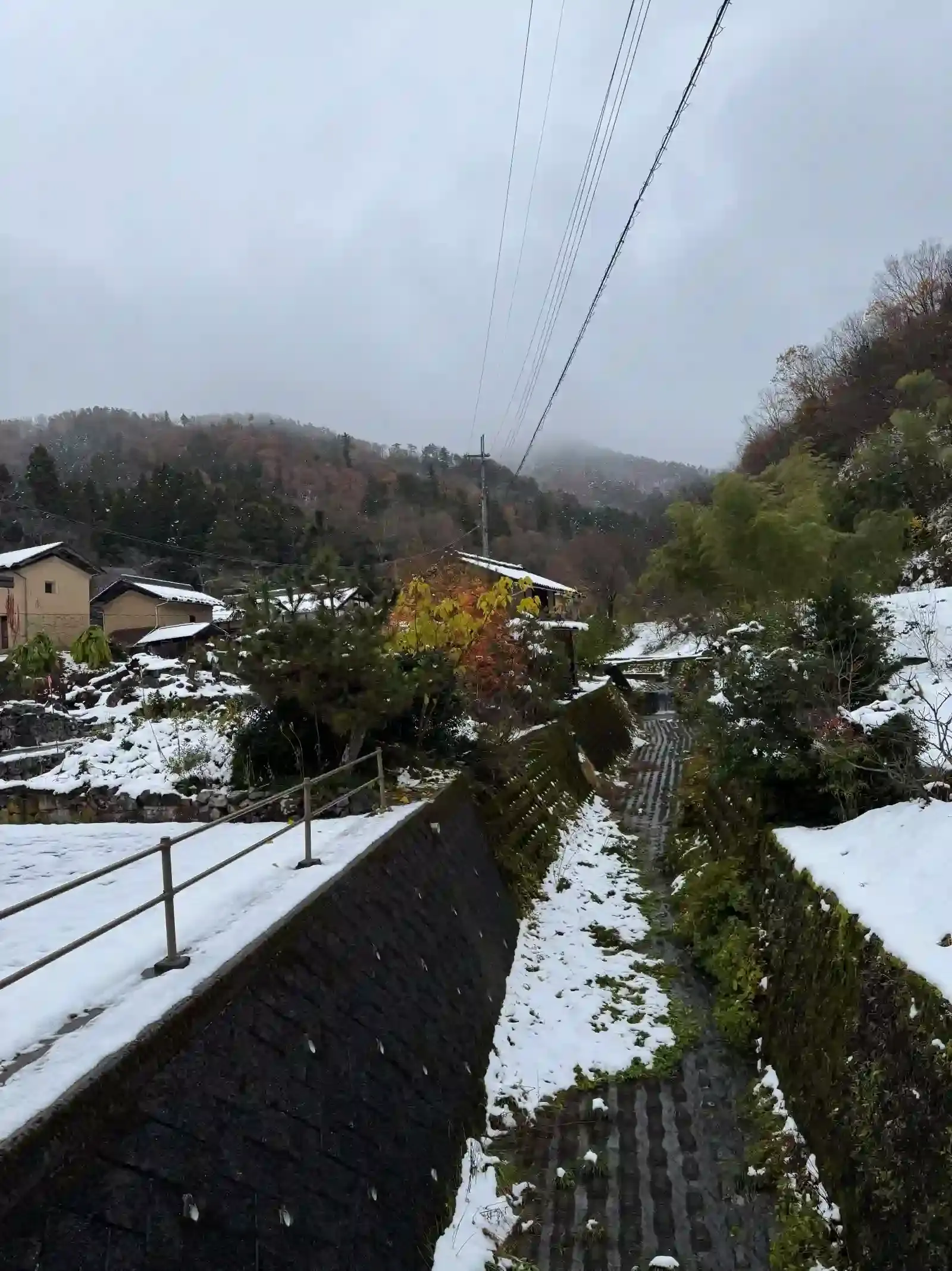 雪地小路