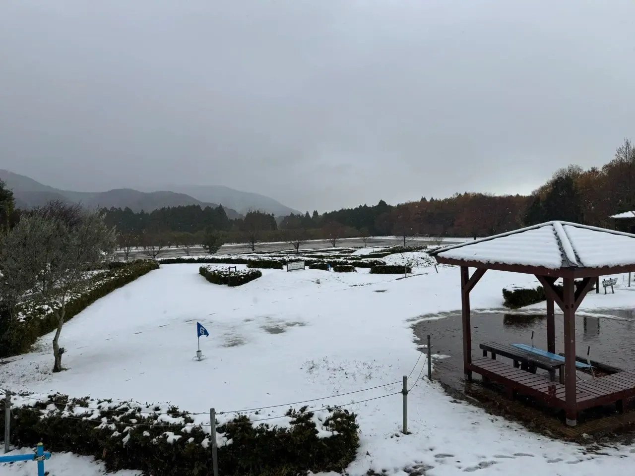 被白雪覆蓋的戶外庭園