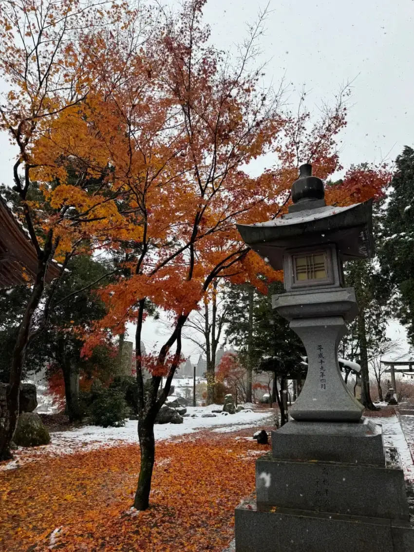 雪地與楓葉之間的石燈籠