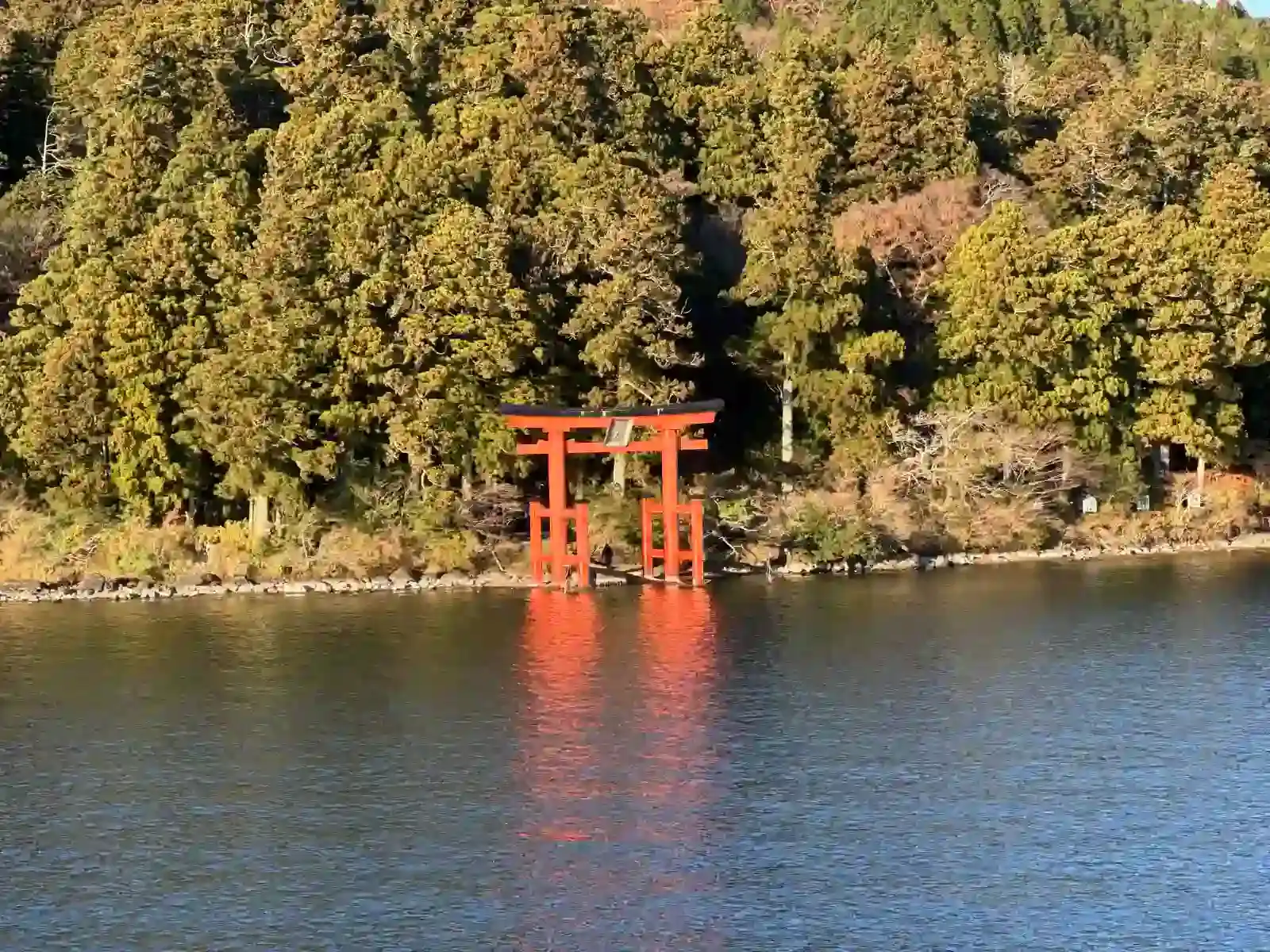 從蘆之湖上看見箱根神社的平和鳥居
