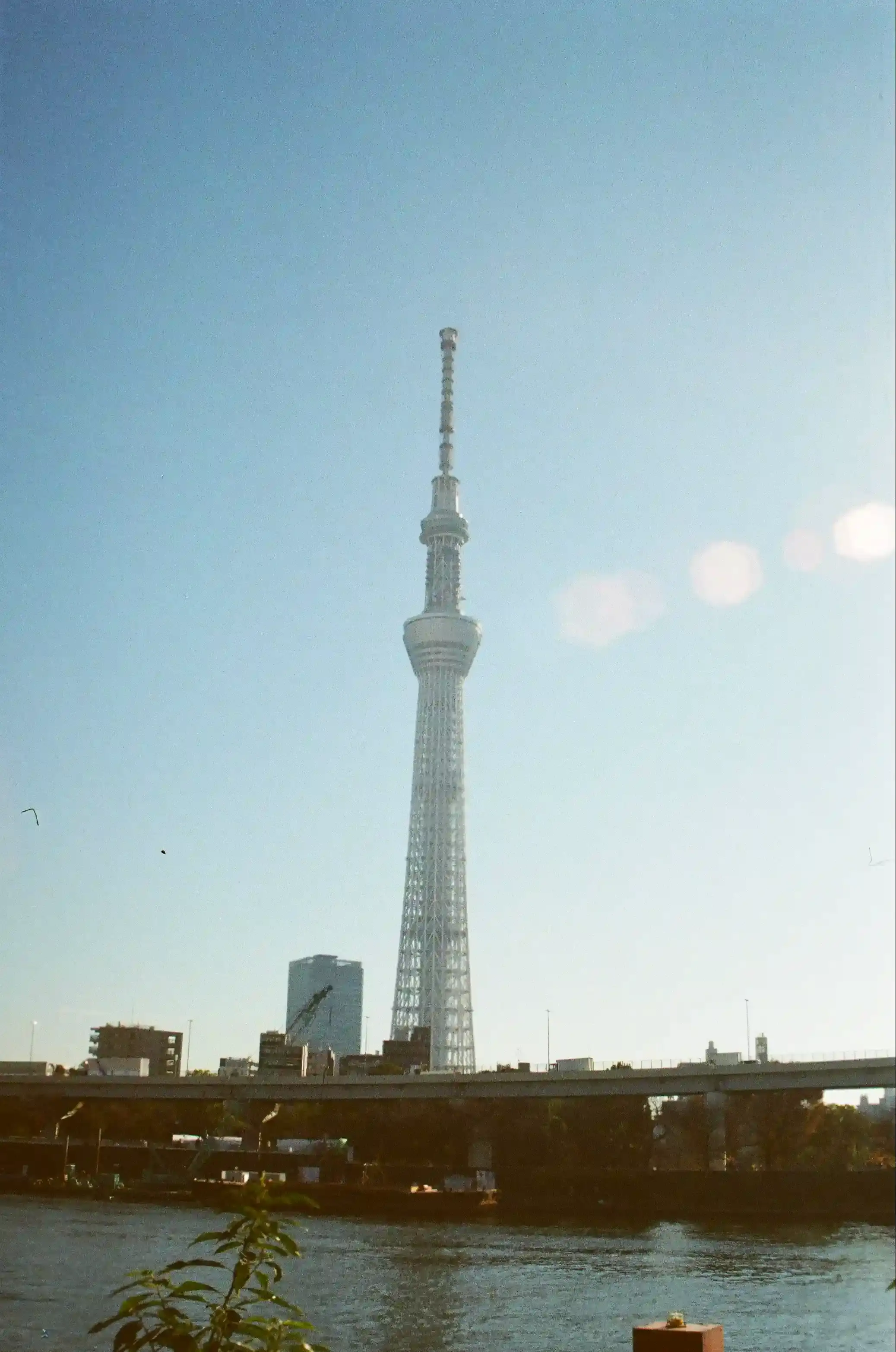 隅田川旁看見的東京晴空塔