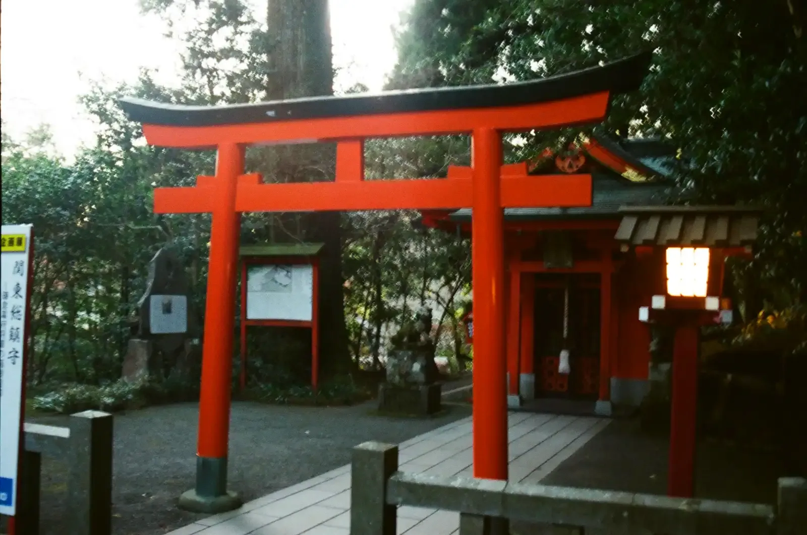 箱根神社境內的小鳥居