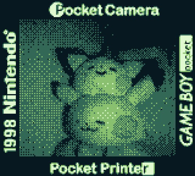 套用綠色系色盤的 Game Boy Camera 輸出照片
