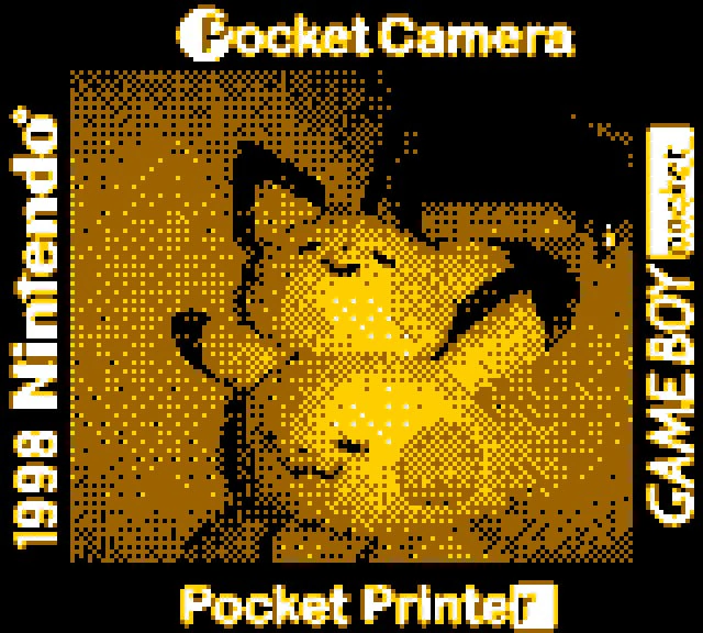 套用橘色系色盤的 Game Boy Camera 輸出照片
